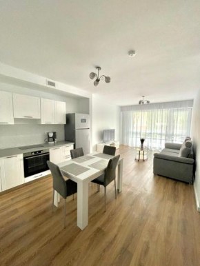 SILVER APARTMENT Sinaia